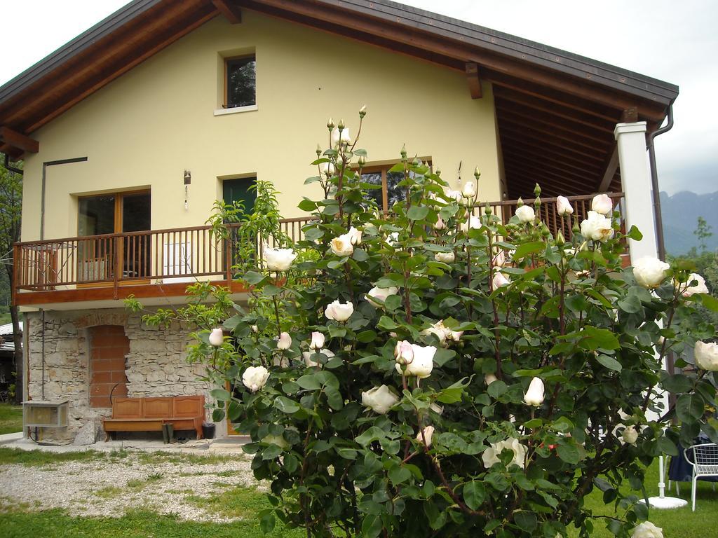 Agriturismo Il Girasole Φέλτρε Εξωτερικό φωτογραφία
