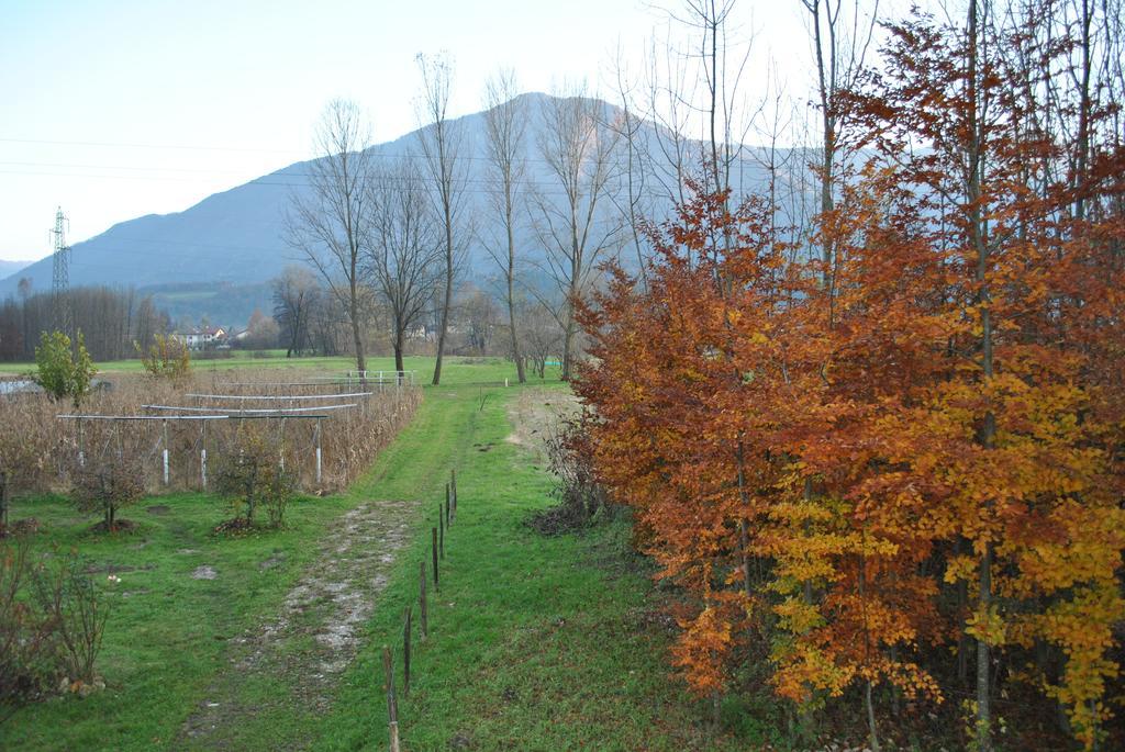 Agriturismo Il Girasole Φέλτρε Εξωτερικό φωτογραφία